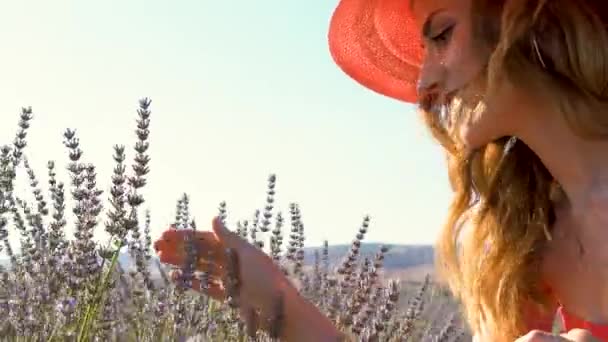Eine Junge Frau Hält Einem Strahlend Sonnigen Tag Blumen Ihren — Stockvideo