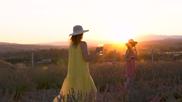 美しい2人の女性が帽子を被り 紫色のラベンダーガーデンの畑を歩いている 朝から — ストック動画
