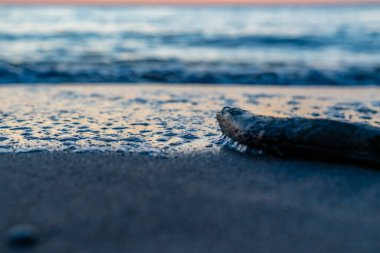 Denizde güzel bir gün batımı. Doğa ve manzara