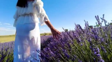 Lavanta çiçekli tarlada yürüyen kadının arkadan görünüşü 
