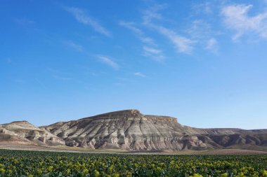 Negev Çölü peyzaj