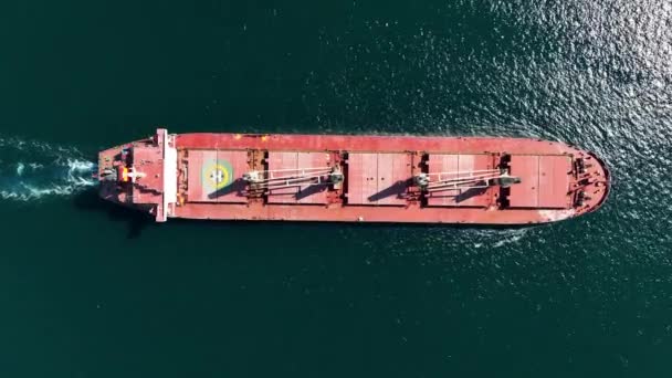 Velká Kontejnerová Nákladní Loď Pluje Přes Klidný Modrý Oceán — Stock video