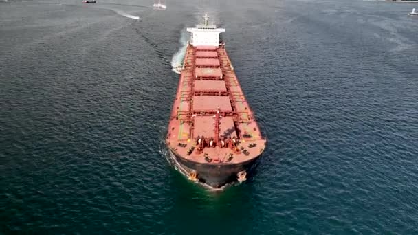 Большой Контейнерный Грузовой Корабль Путешествует Спокойному Голубому Океану — стоковое видео