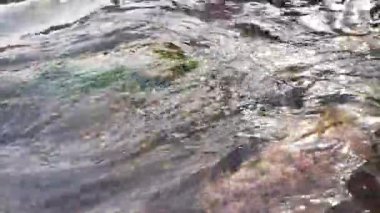 Güzel kristal berrak su deniz kıyısında taşlarla birlikte.