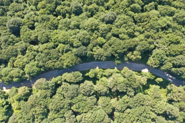 Ağaçlarla çevrili otobanın havadan görünüşü