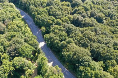 Ağaçlarla çevrili otobanın havadan görünüşü