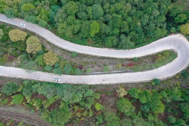 Ağaçlarla çevrili otobanın havadan görünüşü