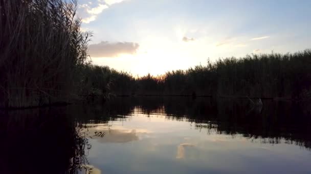 호수에 호수와 갈대의 — 비디오