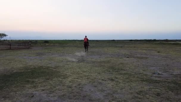 Cowboy Rides Horse Sunset Galloping Horse — Stock Video