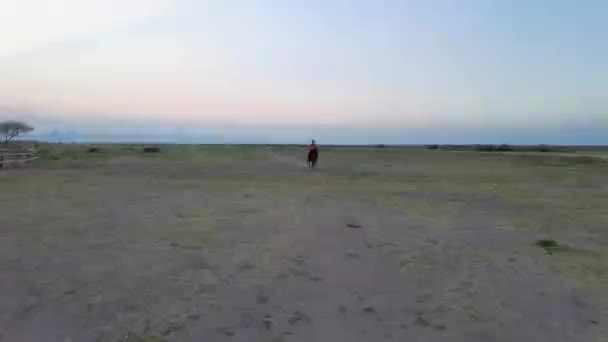 Seorang Koboi Menunggang Kuda Saat Matahari Terbenam Kuda Berderap — Stok Video