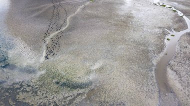 Uzun saçlı, hasır şapkalı genç bir kadın.