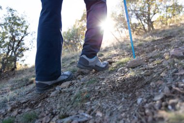 Erkek yürüyüşçü ormanda yürürken yan tarafa bakıyor.