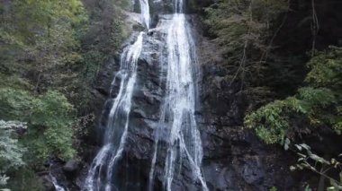 Bir şelale kayalık bir uçurumdan aşağı akıyor.