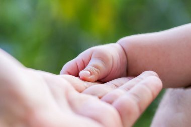 Bir bebek ebeveyninin eliyle tutuluyor. Sahne sıcak ve sevgi dolu, ebeveyn bebeği kucağında tutuyor.