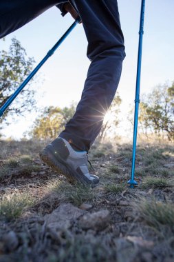 Yürüyüş sopasıyla yürüyen bir adam