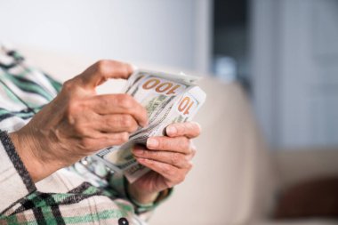 Yakın plan kadın eli Amerikan dolarlarını sayıyor. Finansal iş kavramı