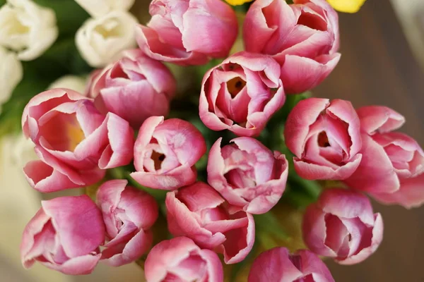 Красивые Свежие Тюльпаны Празднике — стоковое фото