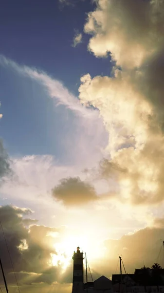 Arka planda güzel bir günbatımı gökyüzü