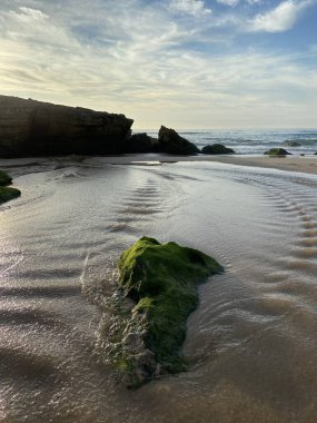 Deniz kıyısının güzel manzarası