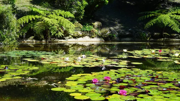 Doğanın güzel manzarası