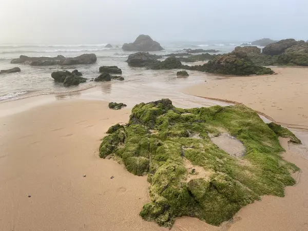 Güzel deniz manzarası