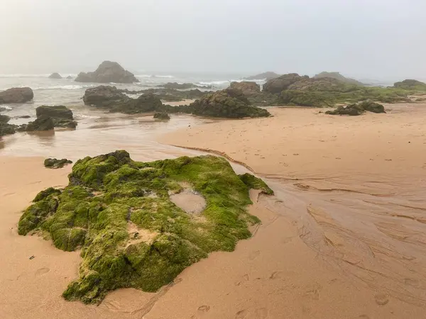 Güzel deniz manzarası