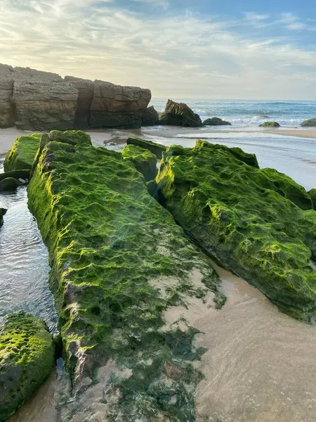 Güzel deniz manzarası