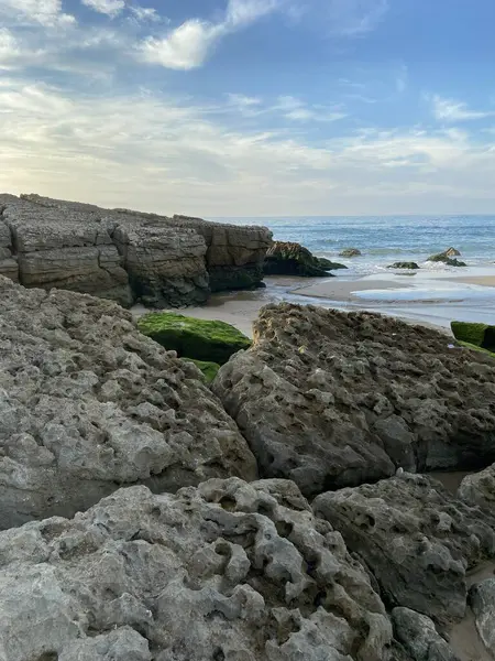 Sahildeki kayaların dikey görüntüsü.