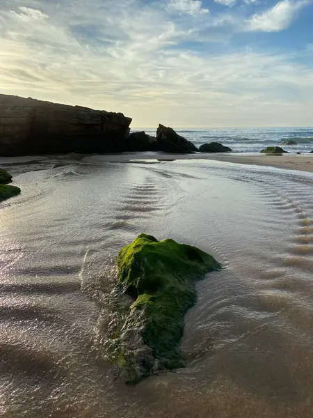 Deniz kıyısının güzel manzarası