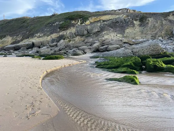 Deniz kıyısının güzel manzarası