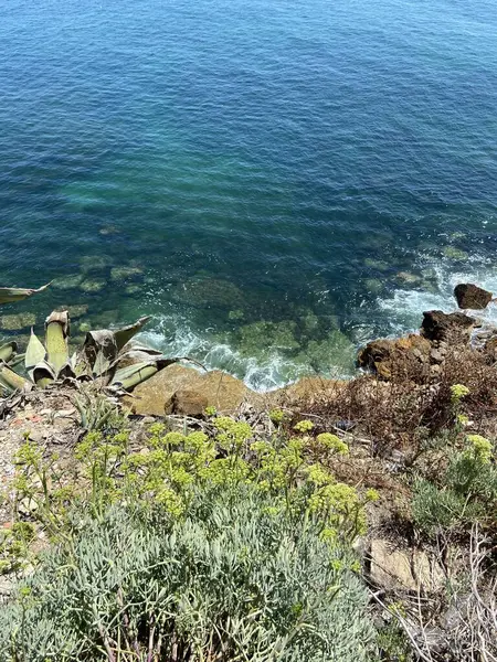 Güzel deniz manzarası. doğa arkaplanı
