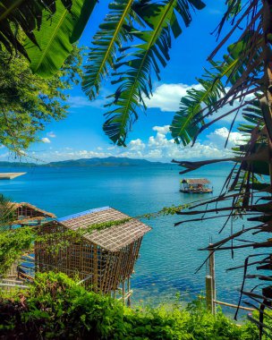 Roxas City Capiz Filipinleri 'nde palmiye ağacı ve muz yapraklarıyla doğal bir pencereden güzel bir manzara..