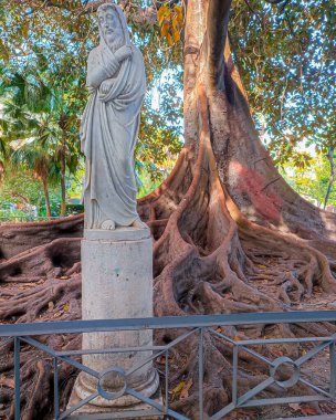 Sanat, İspanya Cadiz 'de doğayla buluşur.