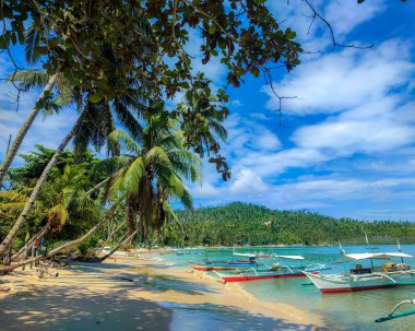 Burton Palawan Limanı 'nda harika bir sahil..