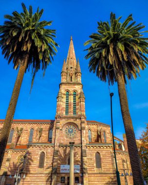 İspanya 'da iki palmiye ağacının ortasındaki eski kilise kulesi..