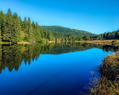 Gerardmer yakınlarındaki Lispach Gölü 'nün nefes kesici manzarası.