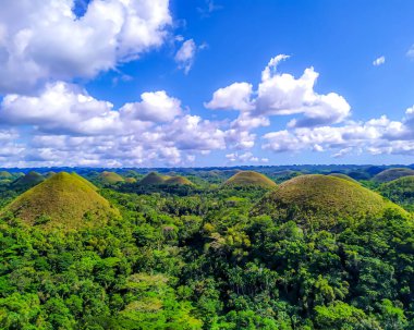 Bohol Filipinleri 'ndeki çikolata tepeleri.