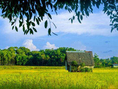 Filipinler 'deki Guimaras Adası' nın doğuşuyla çevrili kulübe.