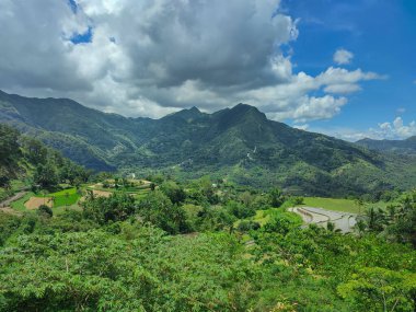 Bucari Filipinlerinde Yükselen Burgerler.