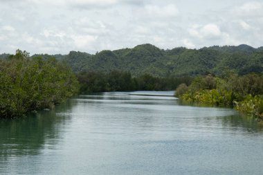 Sipalay Filipinlerine yakın bir nehir.