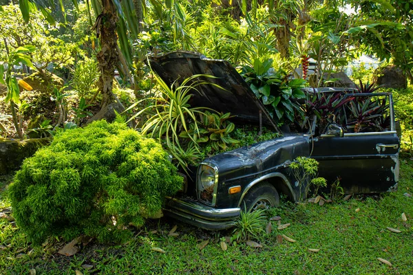 Car in the garden with flowers.