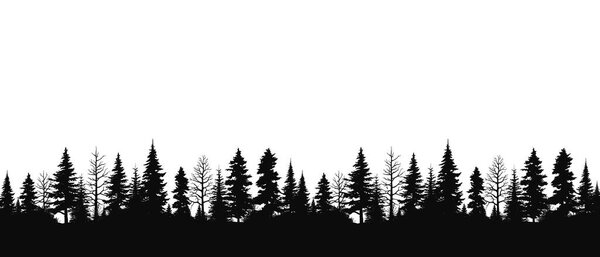 Hand drawn pine forest vector illustration isolated on a white background. Landscape nature pine tree silhouette
