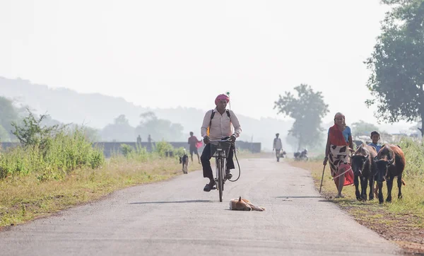 stock image people on road walking and cycling with buffalo and a dog is sleeping on road, indian village men cycling on road