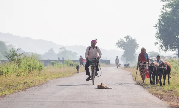 KACHANDA, CHHATTISGARH, INDIA, Kasım 15, 2022: yolda yürüyen ve bisiklet süren insanlar ve yolda uyuyan bir köpek, yolda bisiklet süren Hintli köylüler