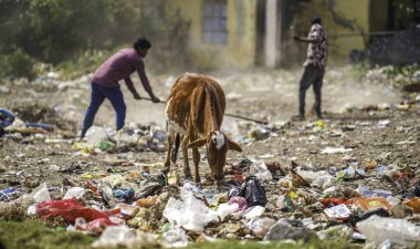 Aralık 2022, Raipur, Hindistan: çöplük alanındaki garajları temizleyen iki işçi, çöplüğü temizleyen işçiler, kirlilik kontrolü, kirlilik konsepti