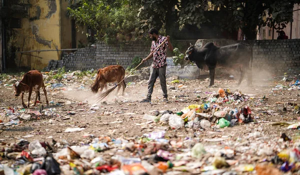 Aralık 2022, Raipur, Hindistan: Çöpü süpürge ve polihtan ile süpüren adam büyük çöp alanı, kirlenmiş bölgeyi temizleyen adam, kirlilik kontrol günü, kirlilik konsepti