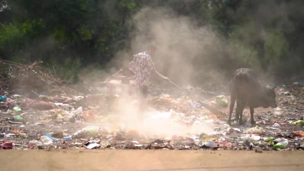 December 2022 Raipur Indien Två Arbetare Städa Sopor Dumpningsområdet Arbetare — Stockvideo