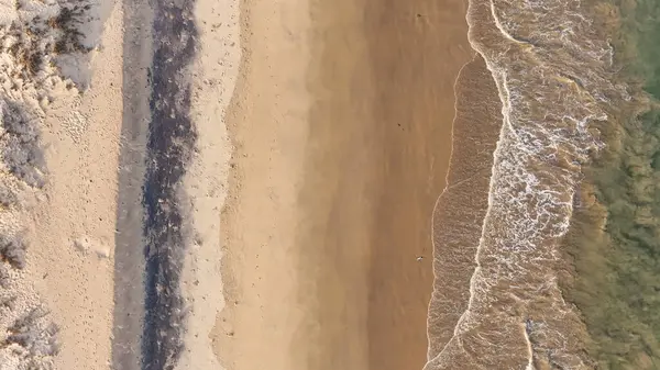 Sakin suları, kumlu sahili ve doğal tepe manzarası olan sahili, dağ arkası sakin sahili, yumuşak dalgaları ve altın saat ışığı olan sakin sahili, narin okyanus dalgaları ve arka planda tepeleri olan güzel bir sahil manzarası..