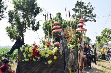 Tuban Endonezya 29 Ağustos 2023, Endonezya Cumhuriyeti 'nin 78. yıldönümü anısına Dasin Village Tambakboyo bölgesinde geleneksel Cava İmparatorluğu Gümrüğü giyenler.