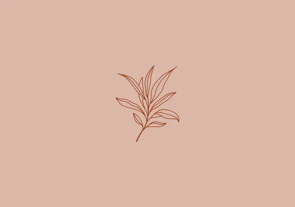 Logo Lijn Bloemblaadje Botanische Esthetisch Vrouwelijk Eenvoudige Lijn Luxe Modern — Stockvector